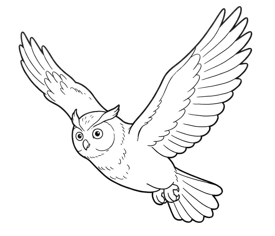 Bagoly (12)