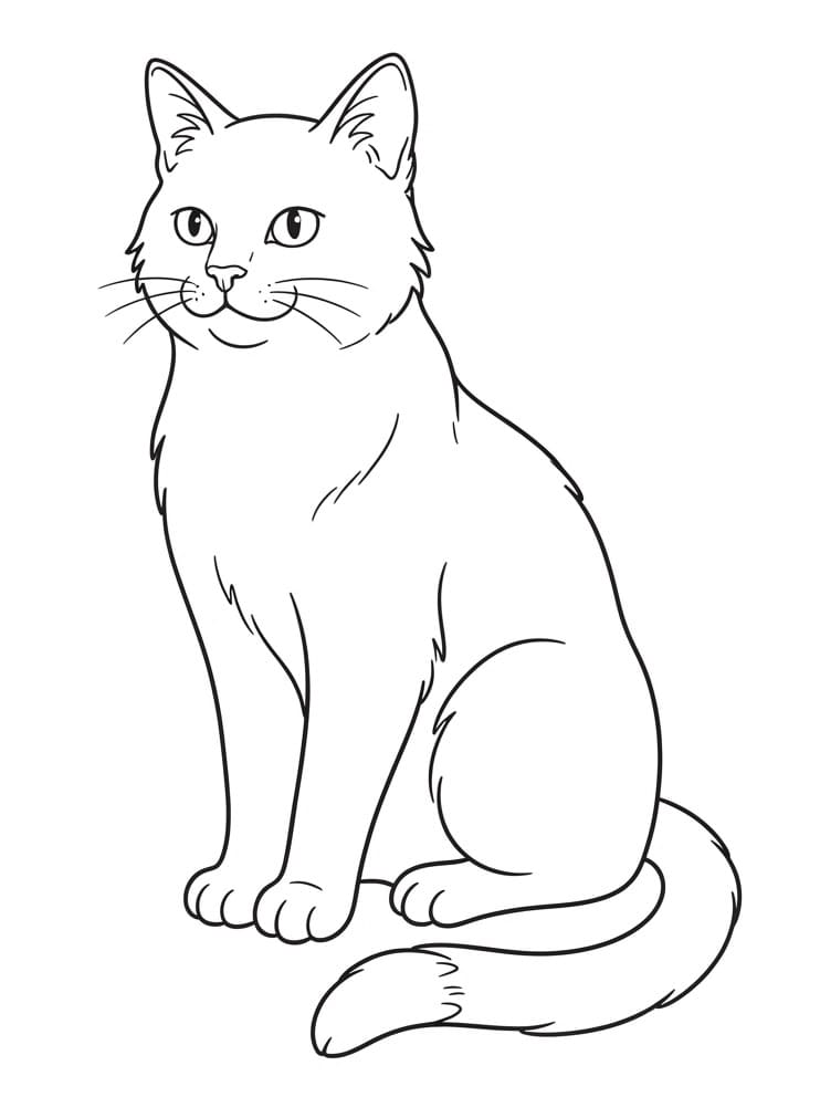 Macska (33)