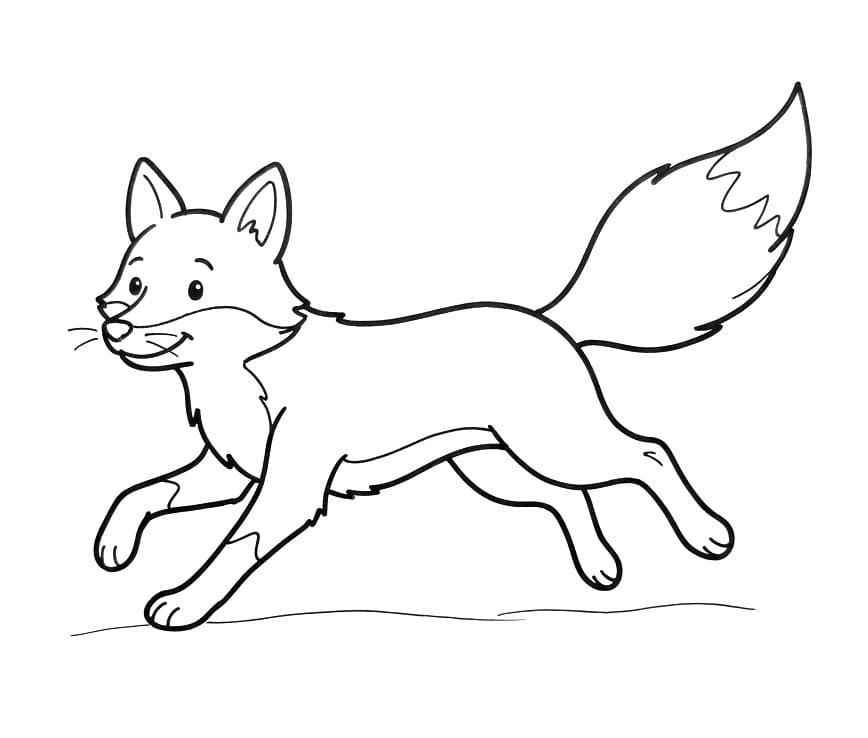 Róka (13)