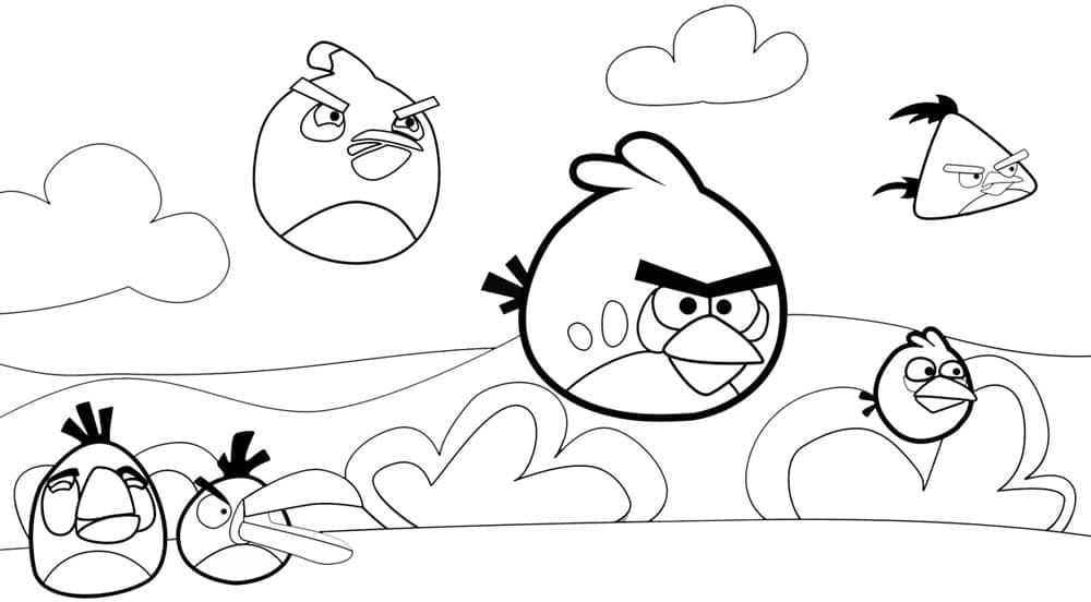 Angry Birds (13)