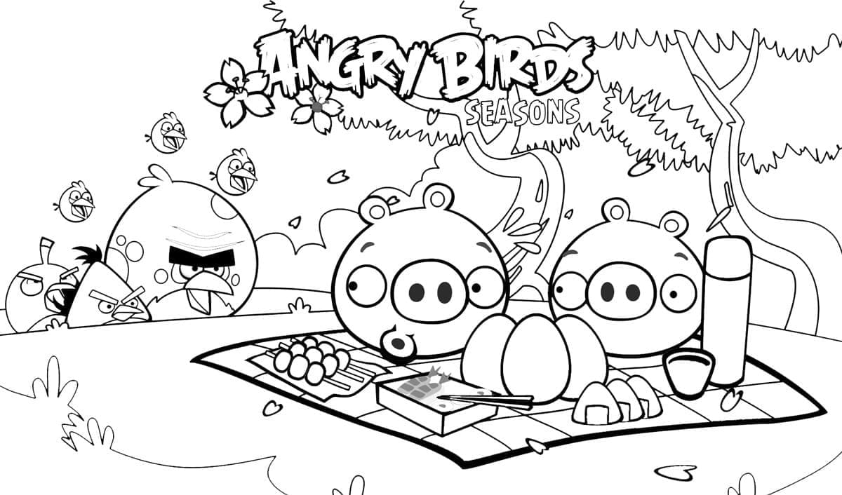 Angry Birds (16)