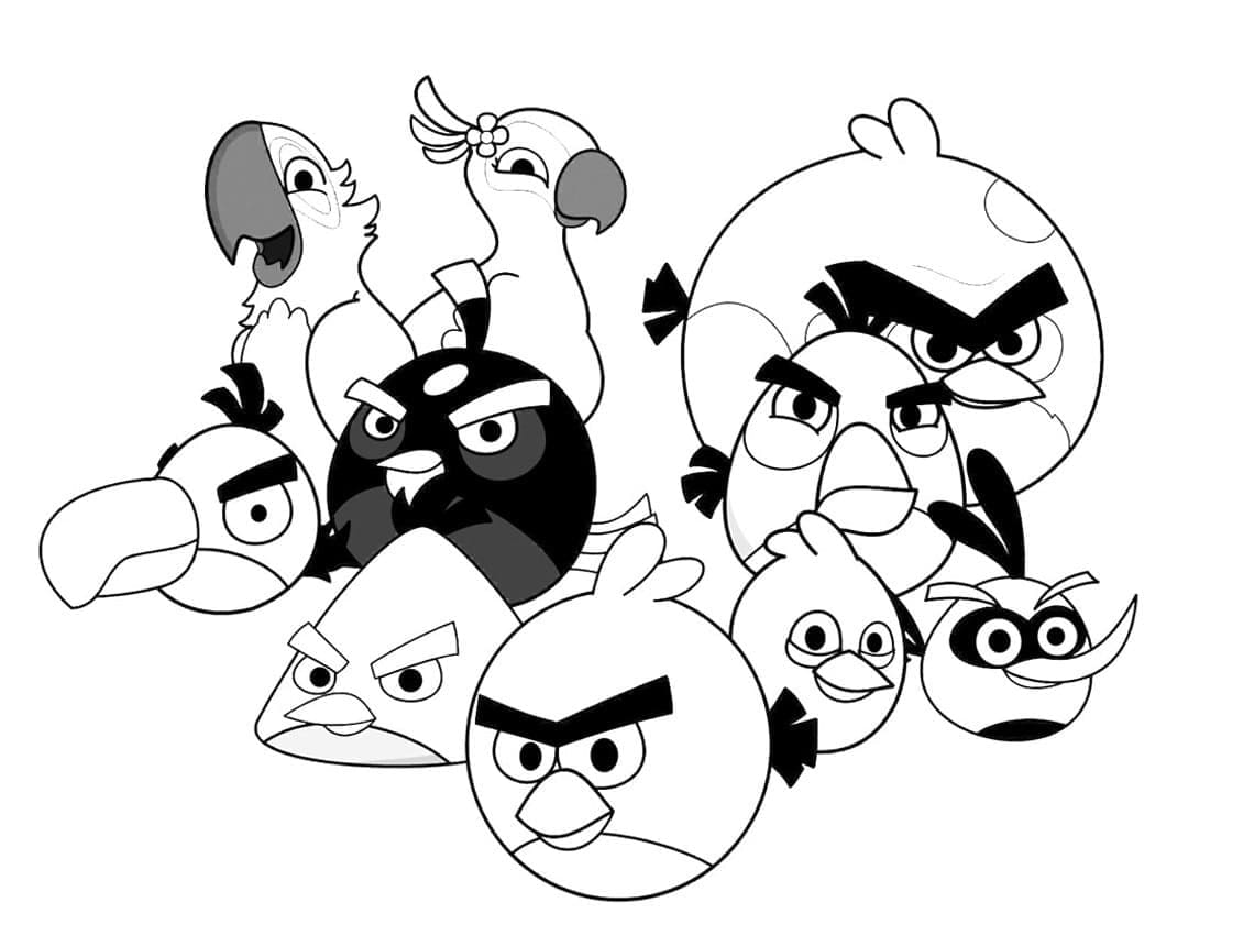 Angry Birds (18)