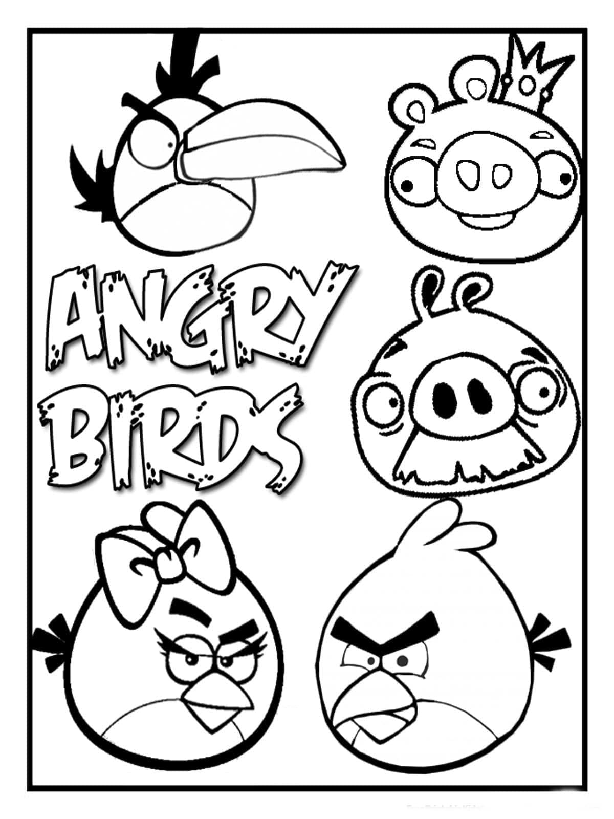 Angry Birds (21)