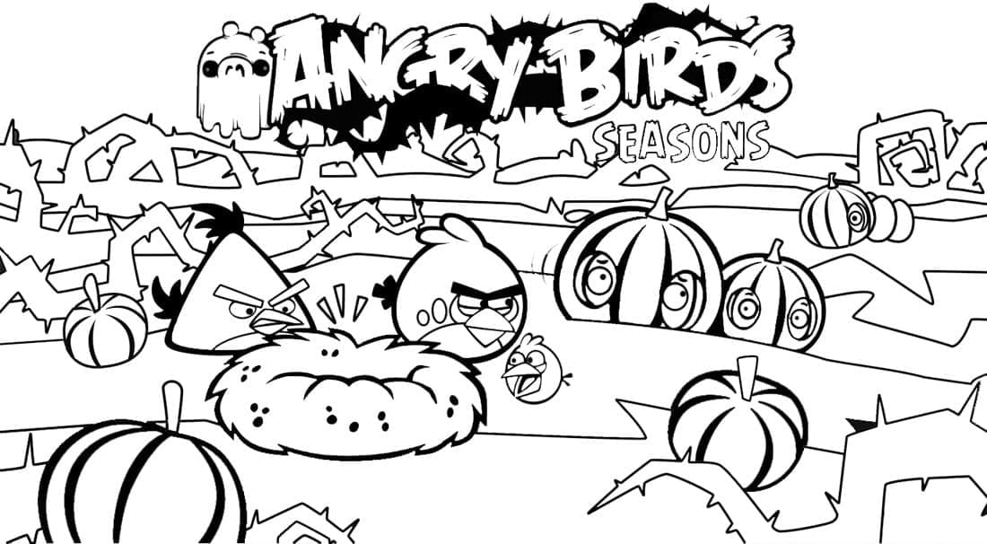 Angry Birds (23)