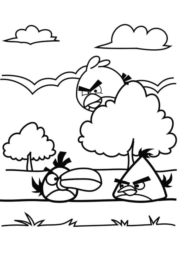 Angry Birds (28)