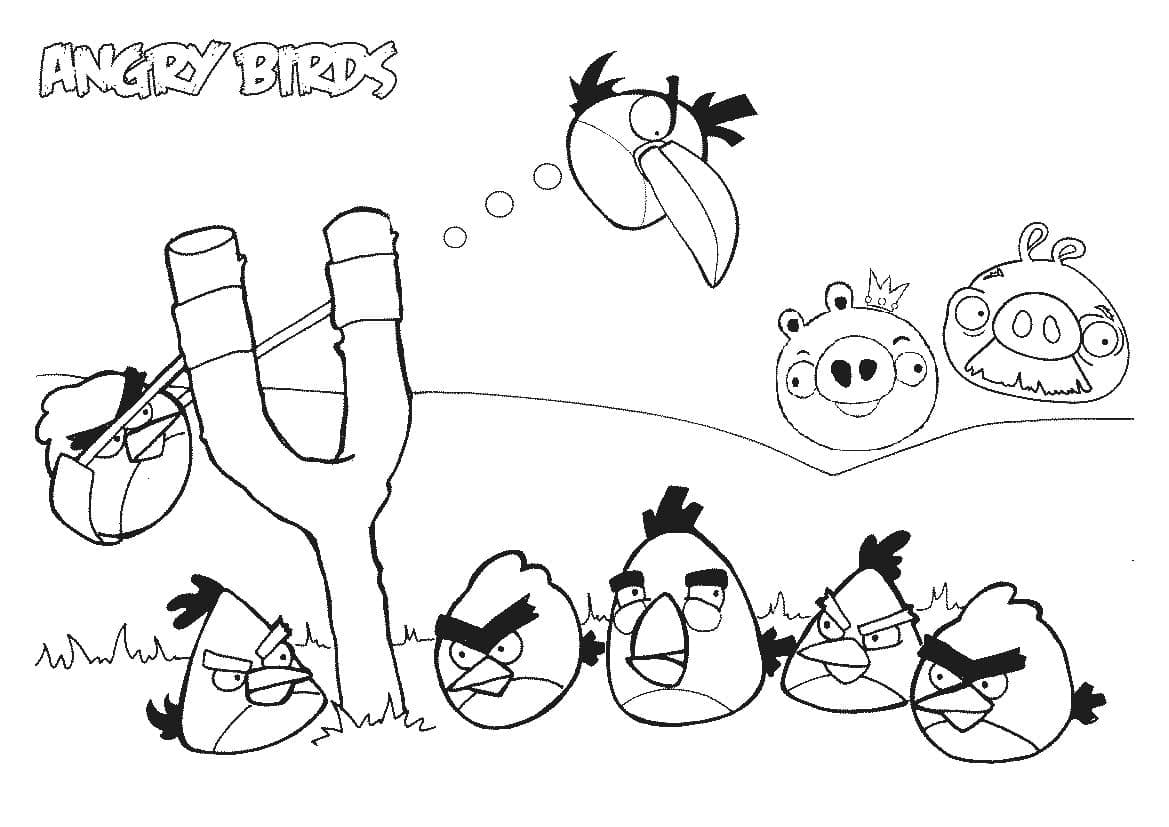 Angry Birds (30)