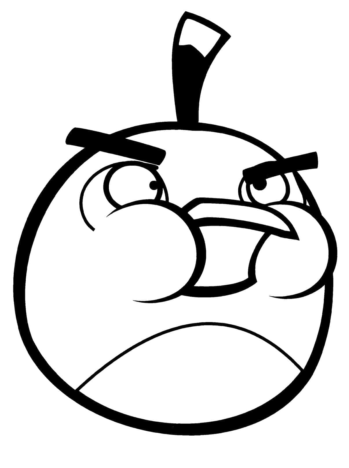 Angry Birds (32)