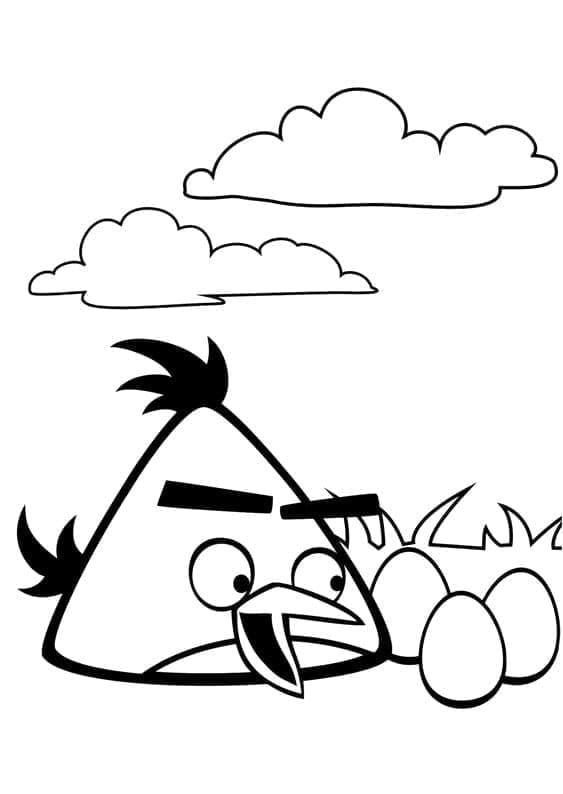 Angry Birds (33)