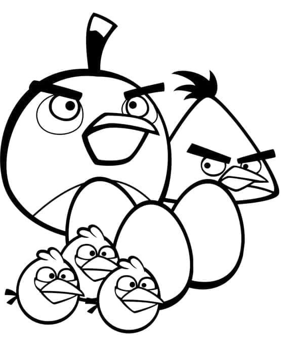 Angry Birds (38)