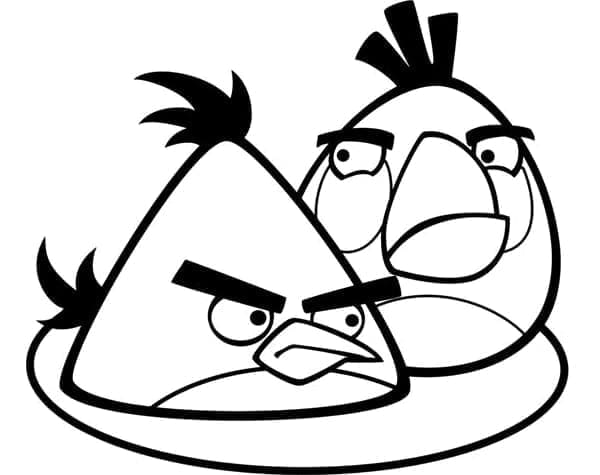 Angry Birds (40)