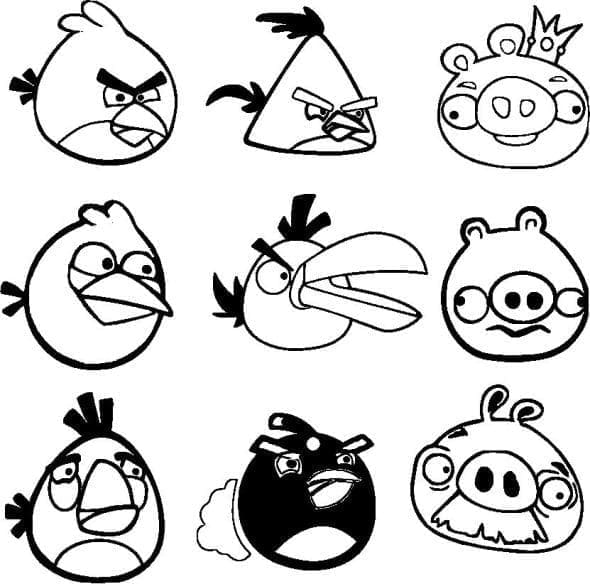 Angry Birds (53)