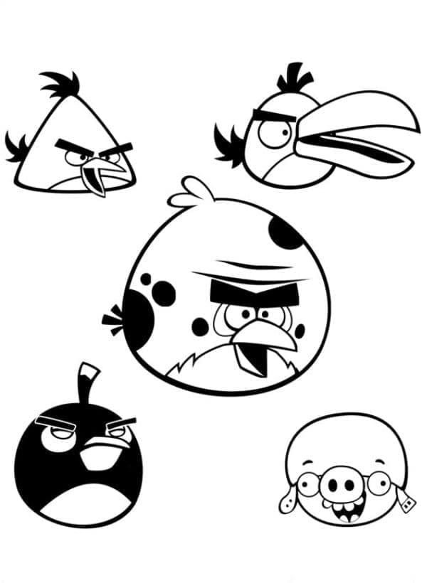 Angry Birds (57)