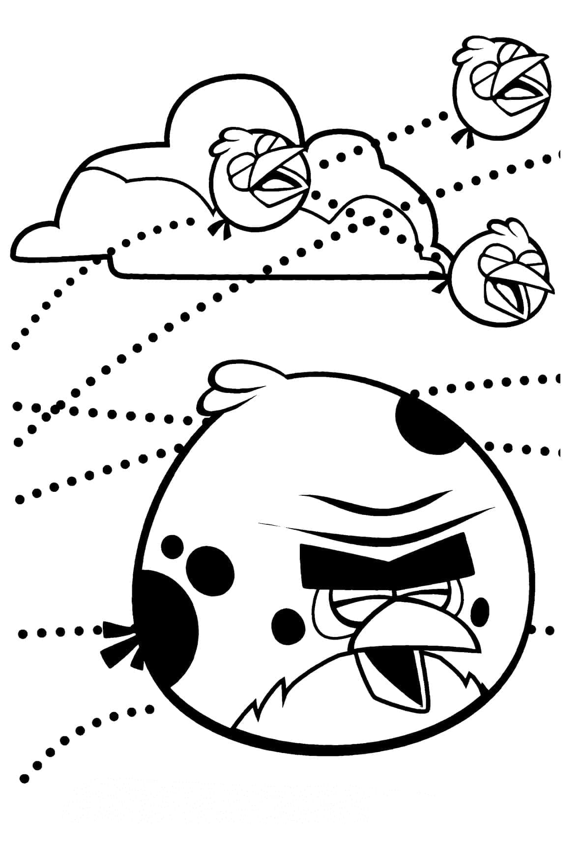 Angry Birds (58)