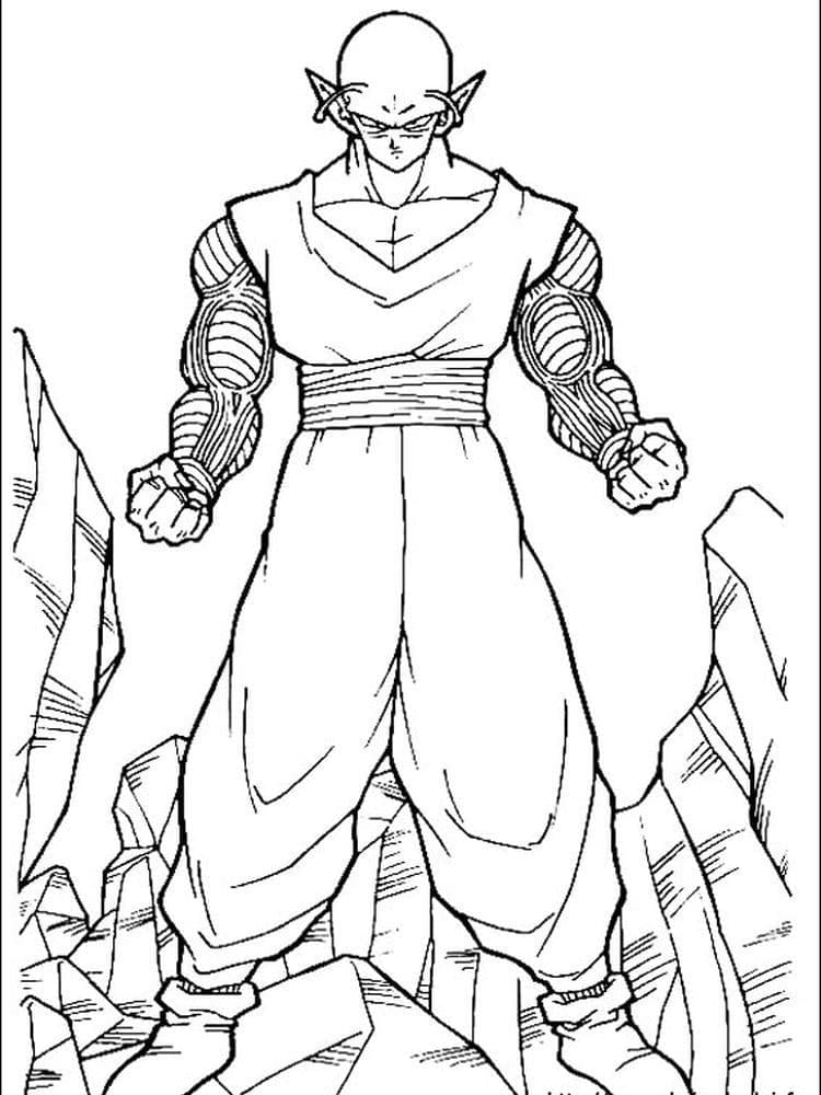 Dragon Ball Z (37)