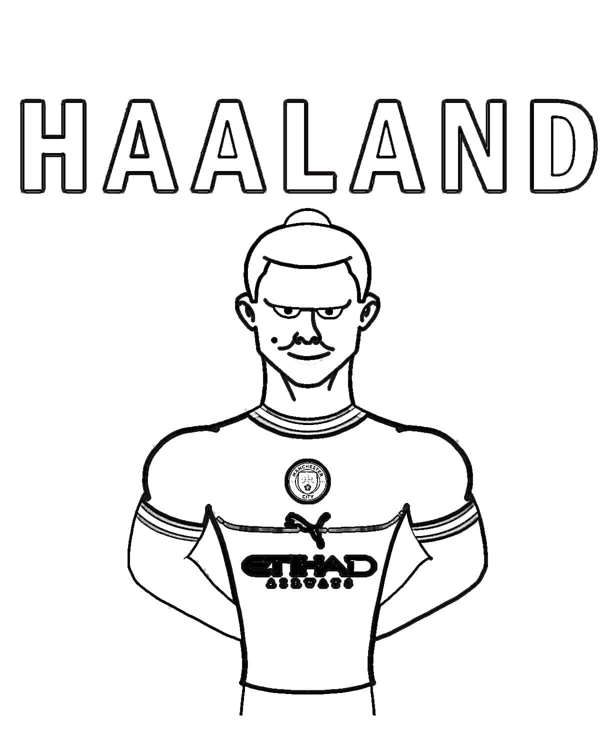 Erling Haaland (11)