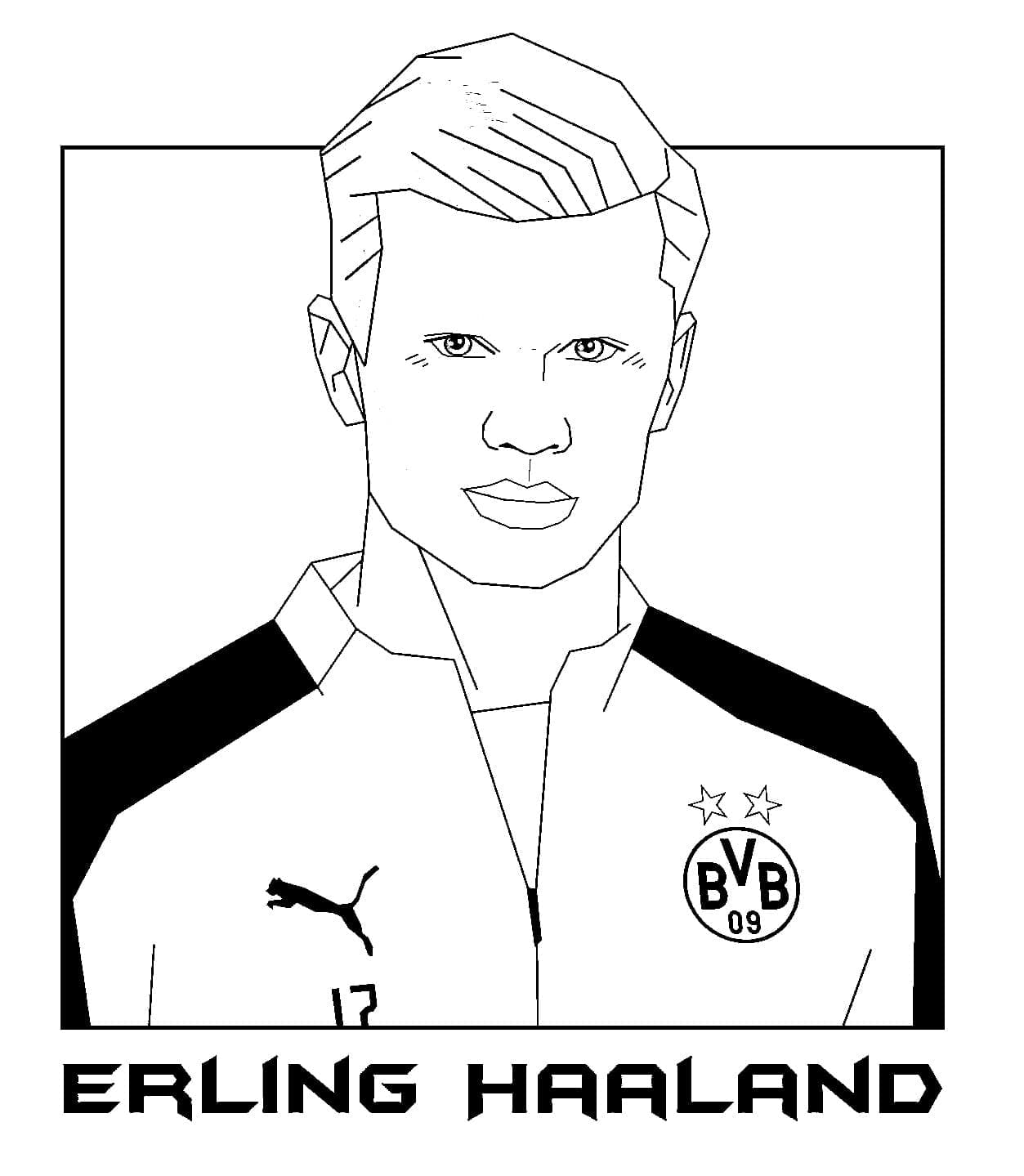 Erling Haaland (26)