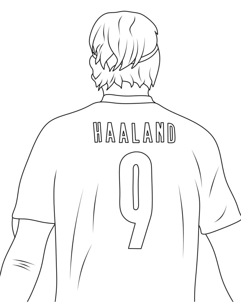 Erling Haaland (6)