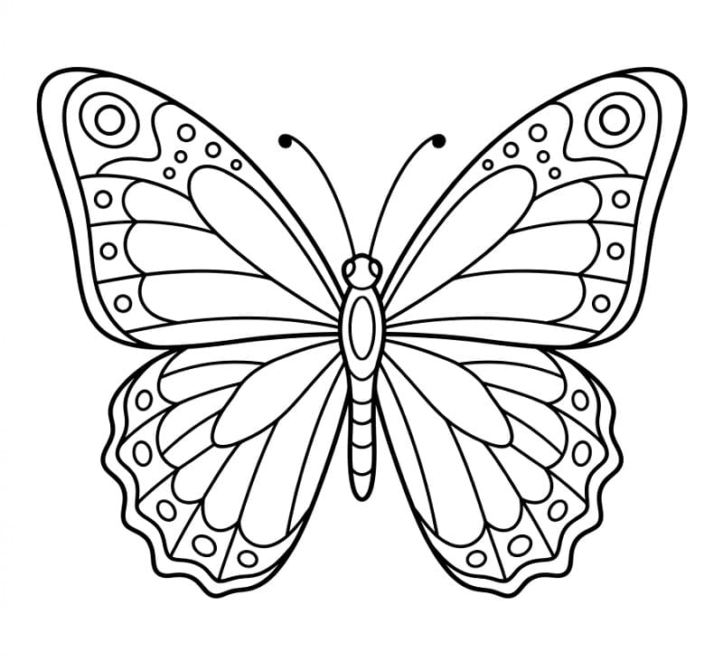 Gyönyörű pillangó színező