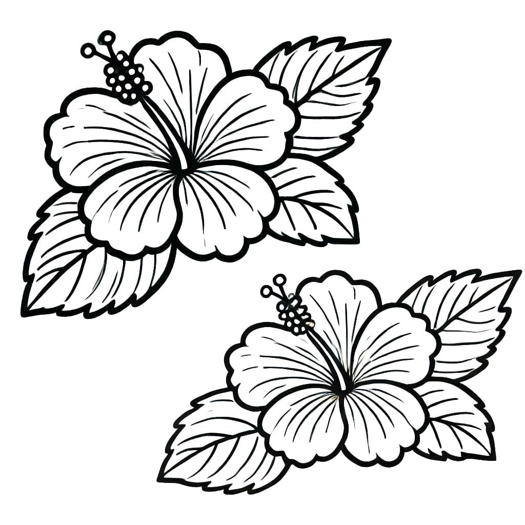 Hibiszkusz (14)