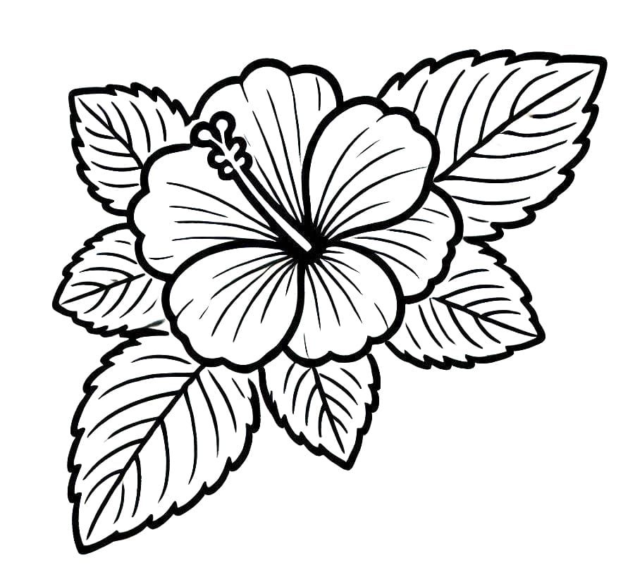 Hibiszkusz (25)