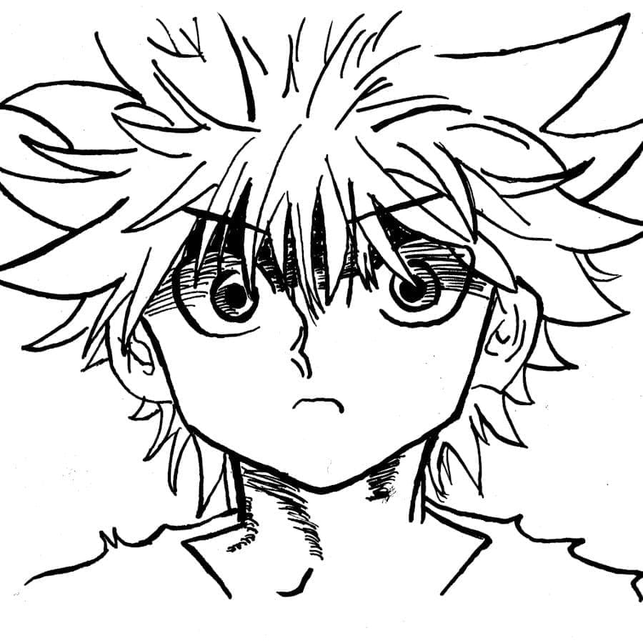 Hunter x Hunter (27)