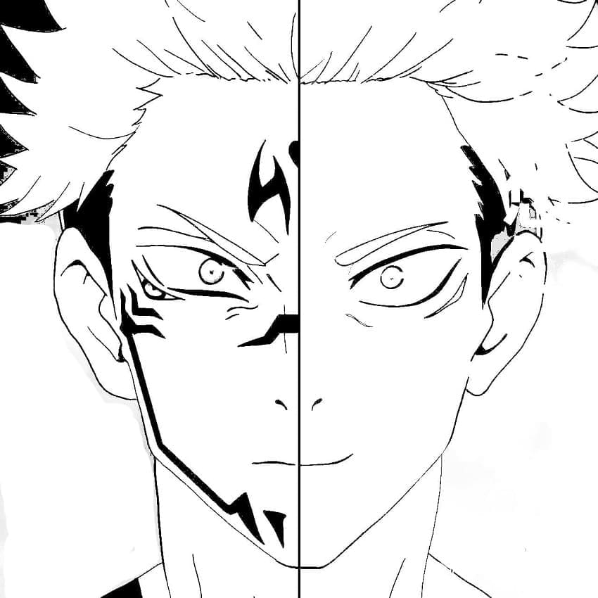 Jujutsu Kaisen (8)