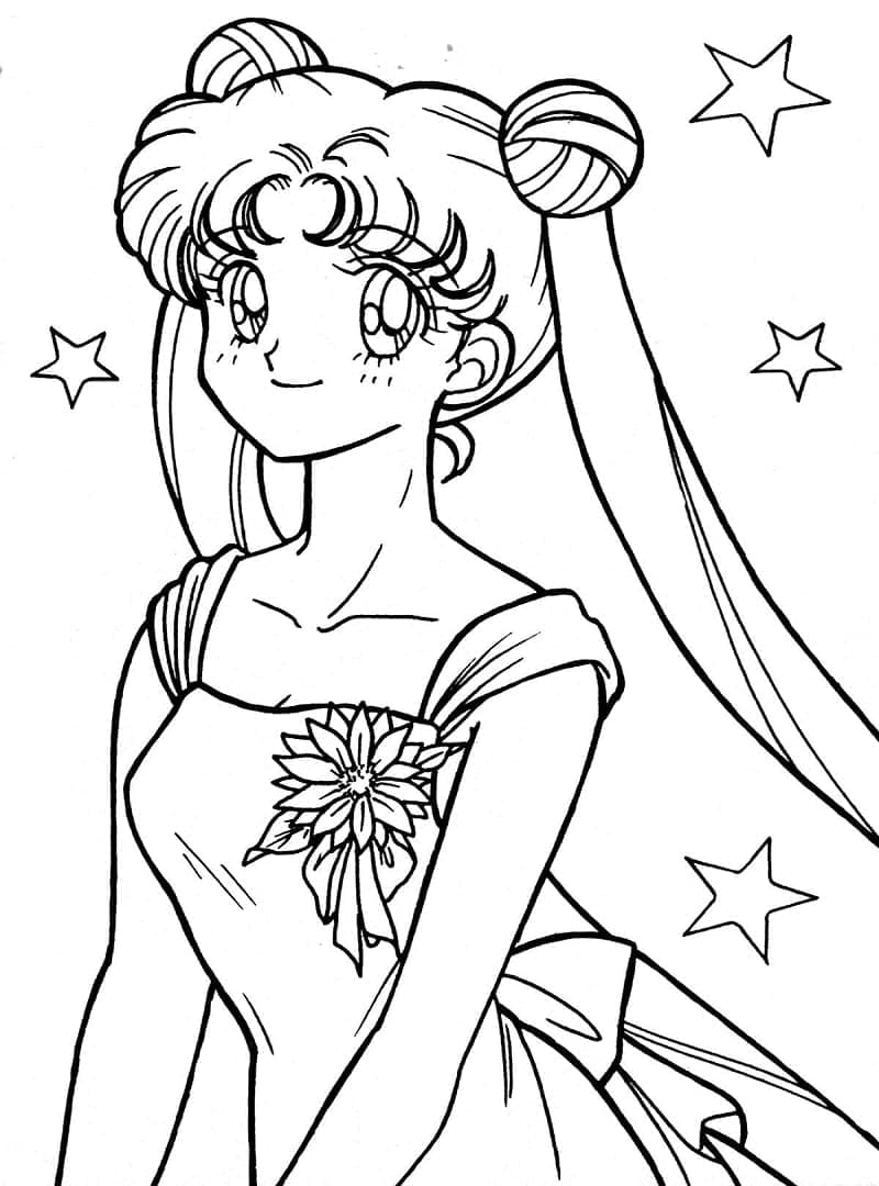 Sailor Moon (15)