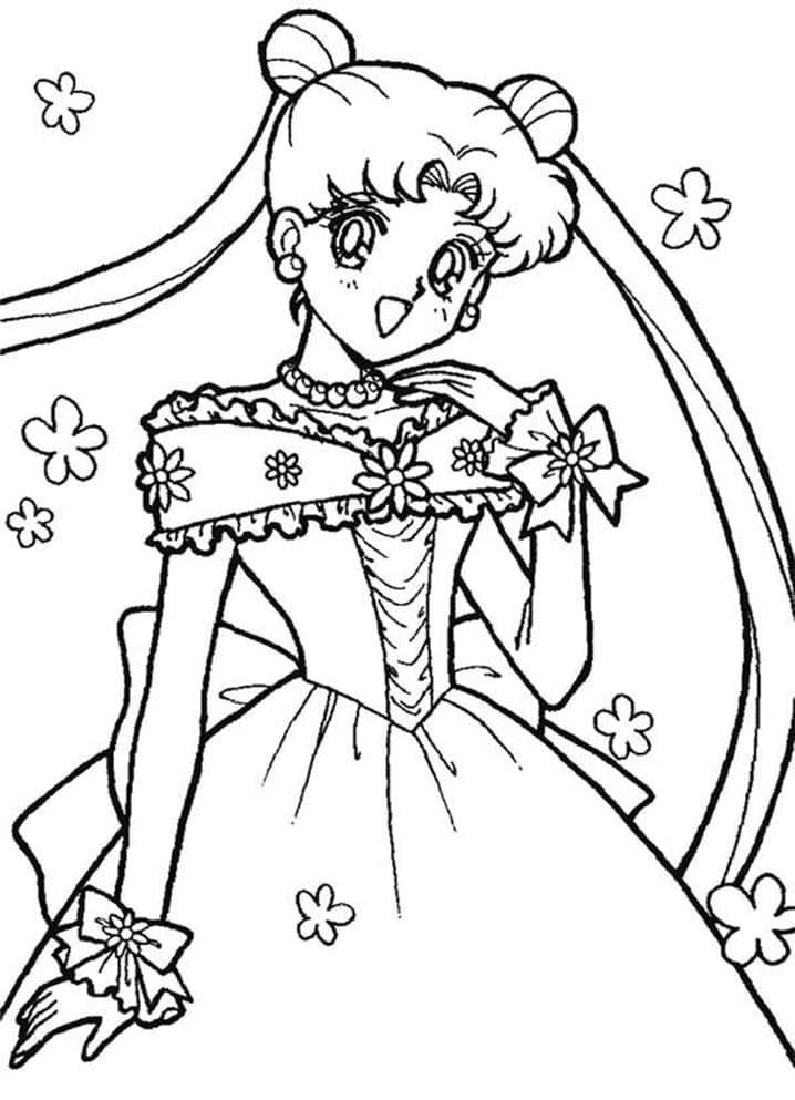 Sailor Moon (16)