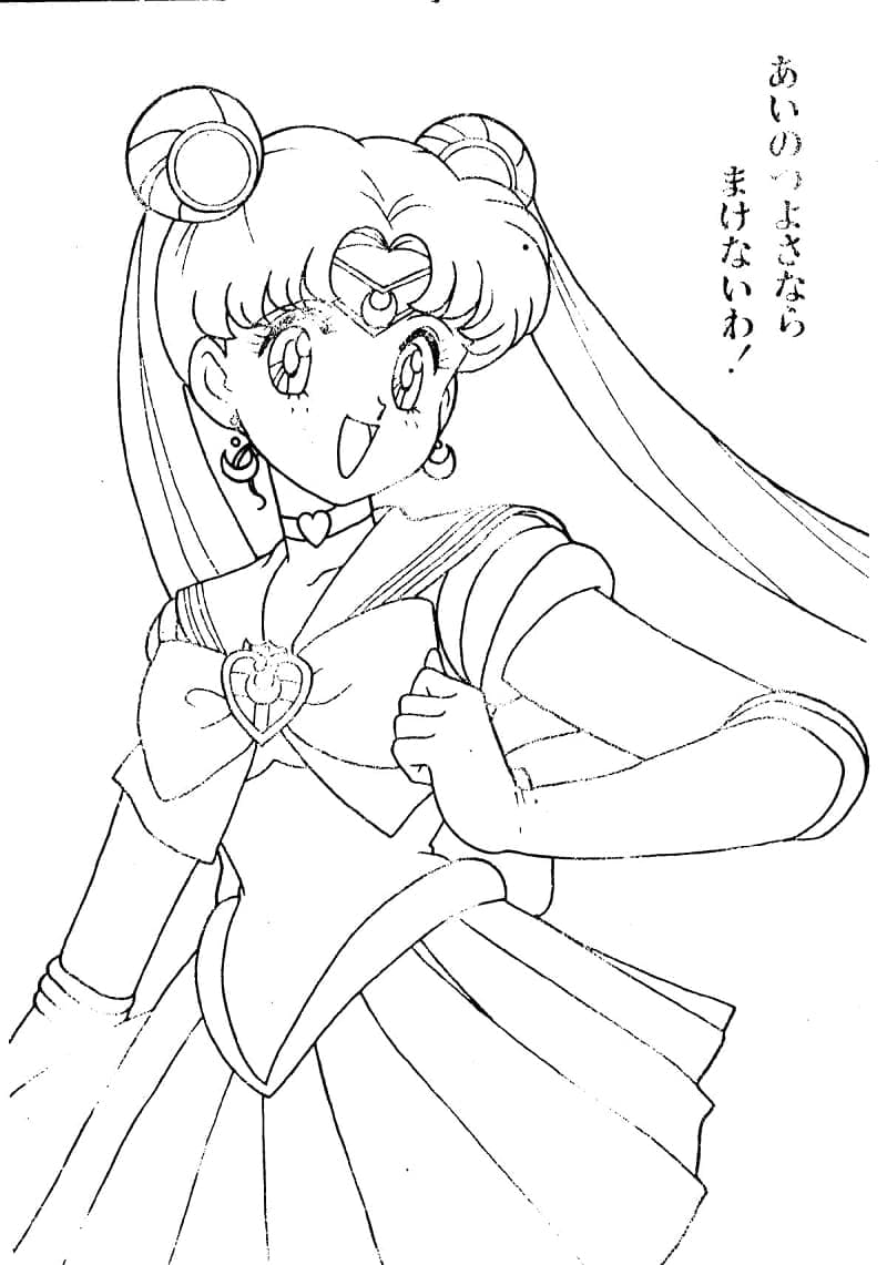 Sailor Moon (26)