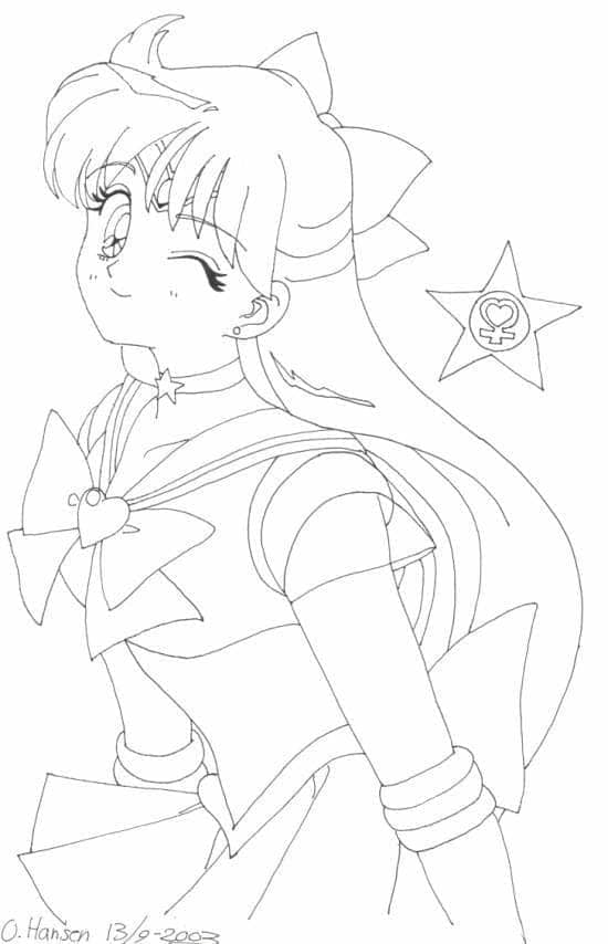 Sailor Moon (30)