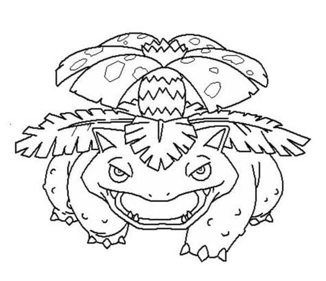 Venusaur Pokemon