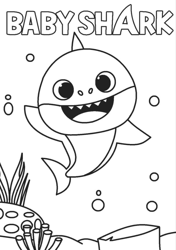 Baby Shark (7)