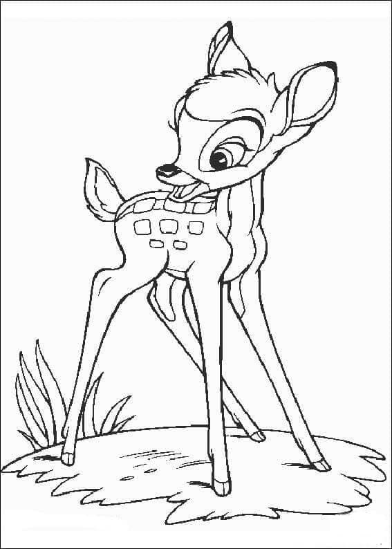 Disney Bambi (12)