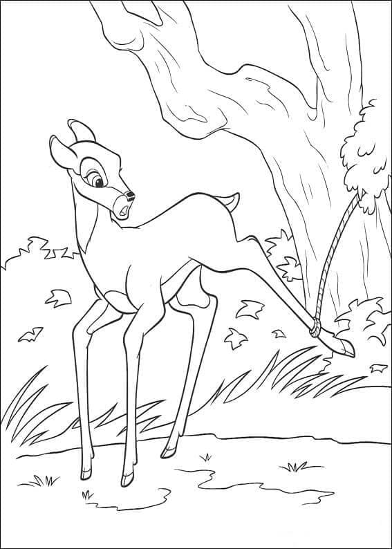 Disney Bambi (24)