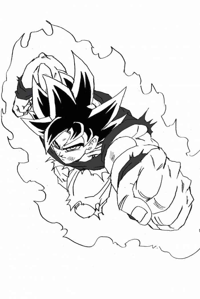 Dragon Ball Goku ultra instinct (10)