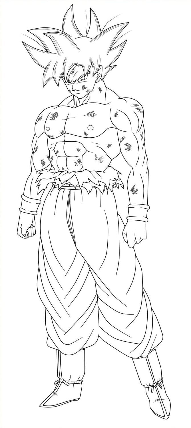 Dragon Ball Goku ultra instinct (8)