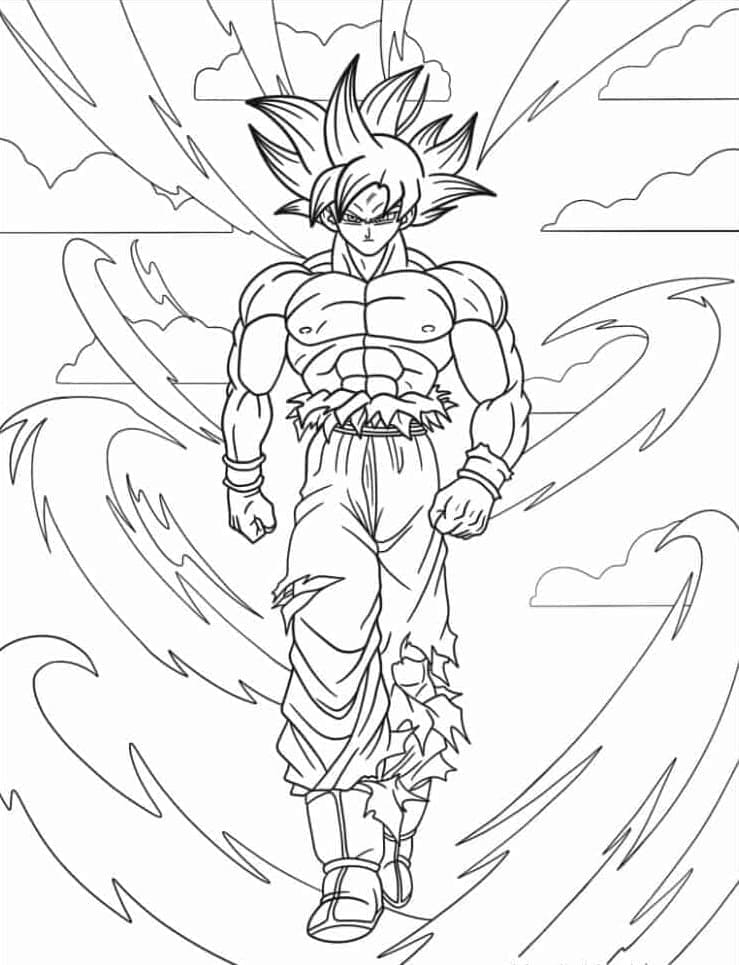 Goku ultra instinct (6)