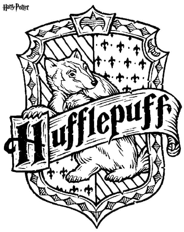 Harry Potter (13)