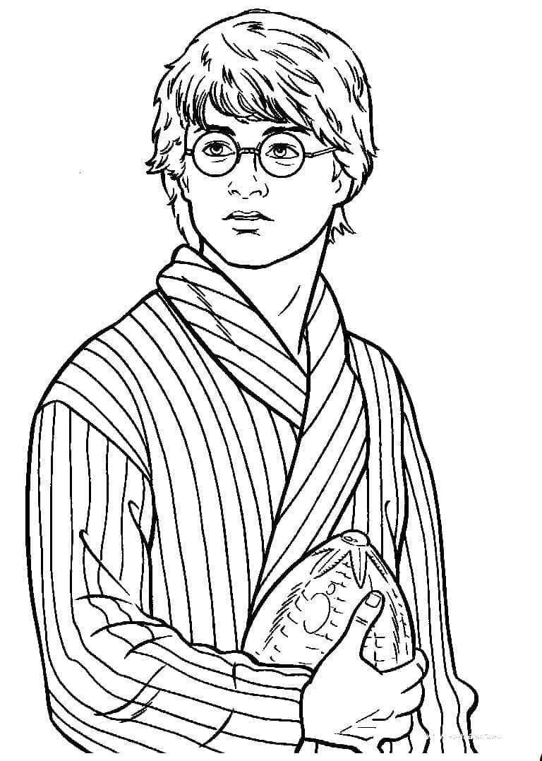 Harry Potter (3)