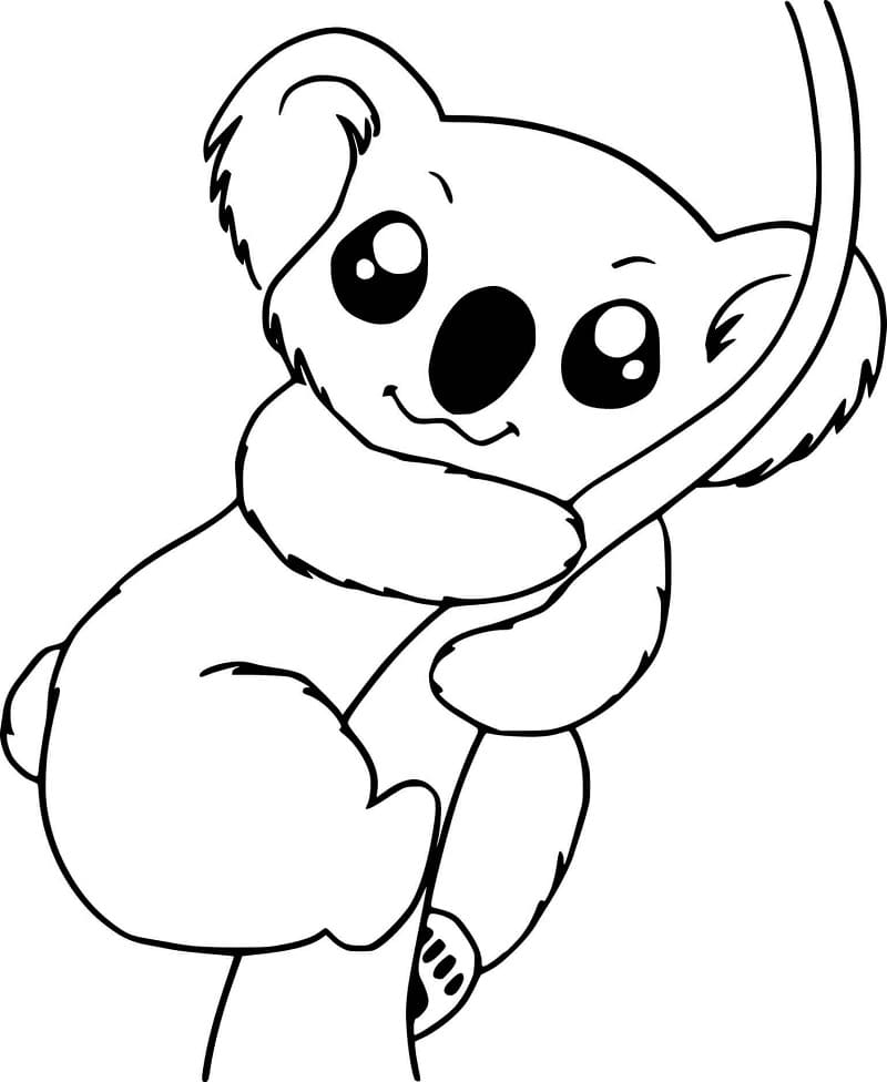 Kawaii koala