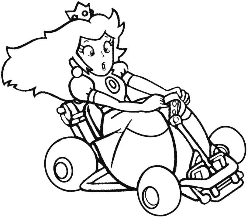 Mario Kart (24)