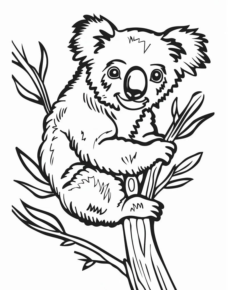 Normál koala