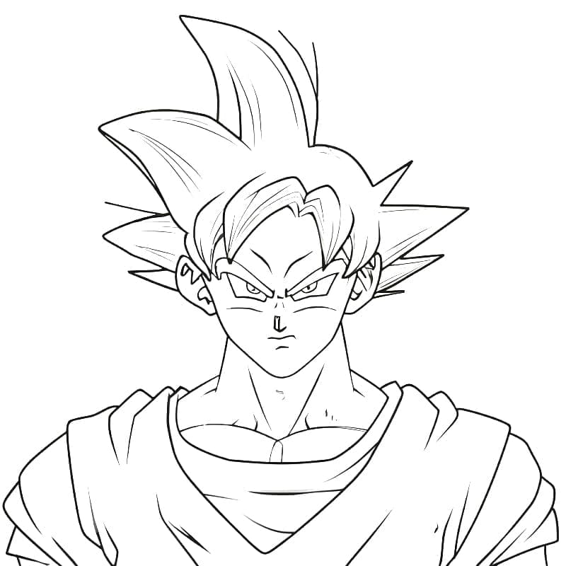 Son Goku (13)