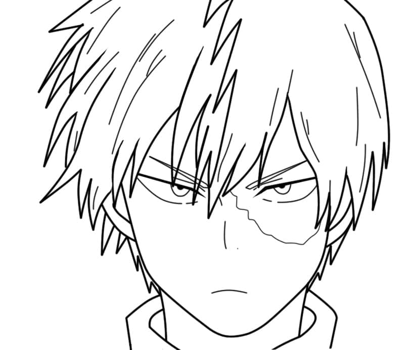 Todoroki Shouto