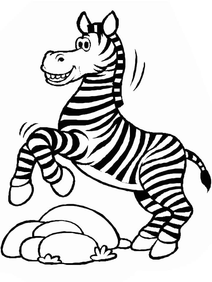 Zebra (14)