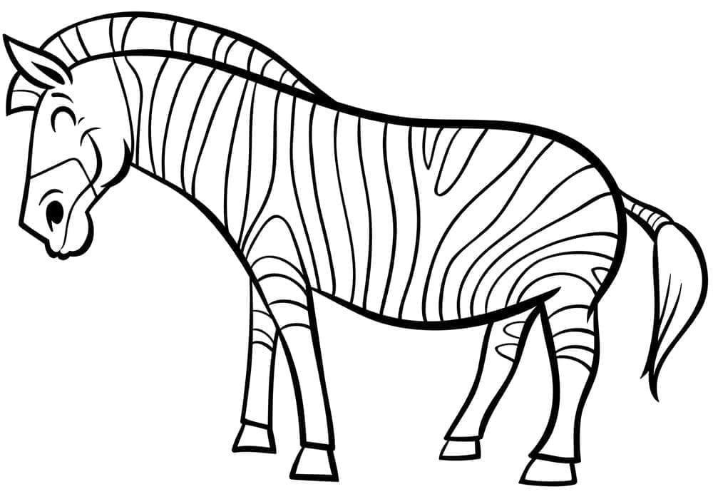 Zebra (20)