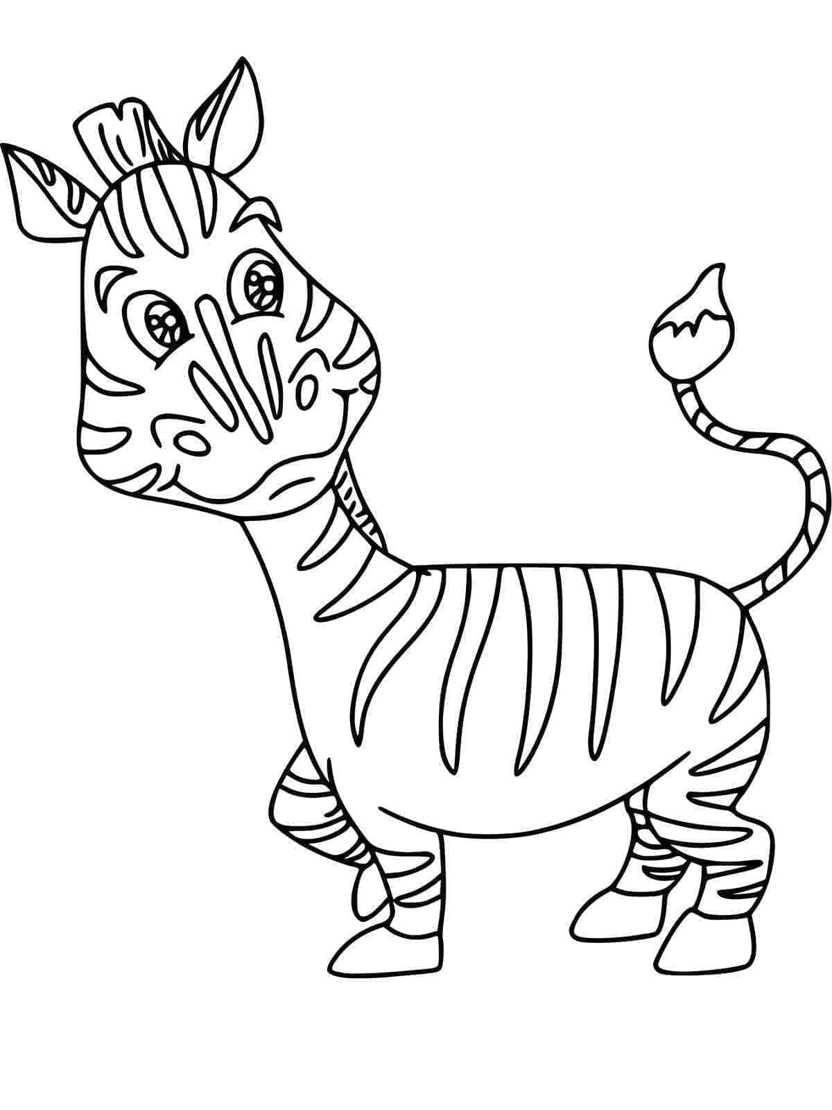 Zebra (21)