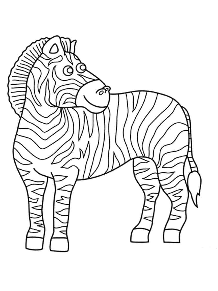 Zebra (23)