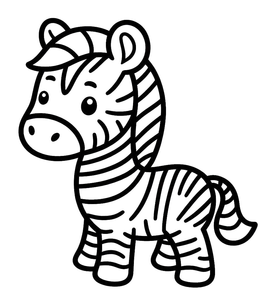 Zebra (38)