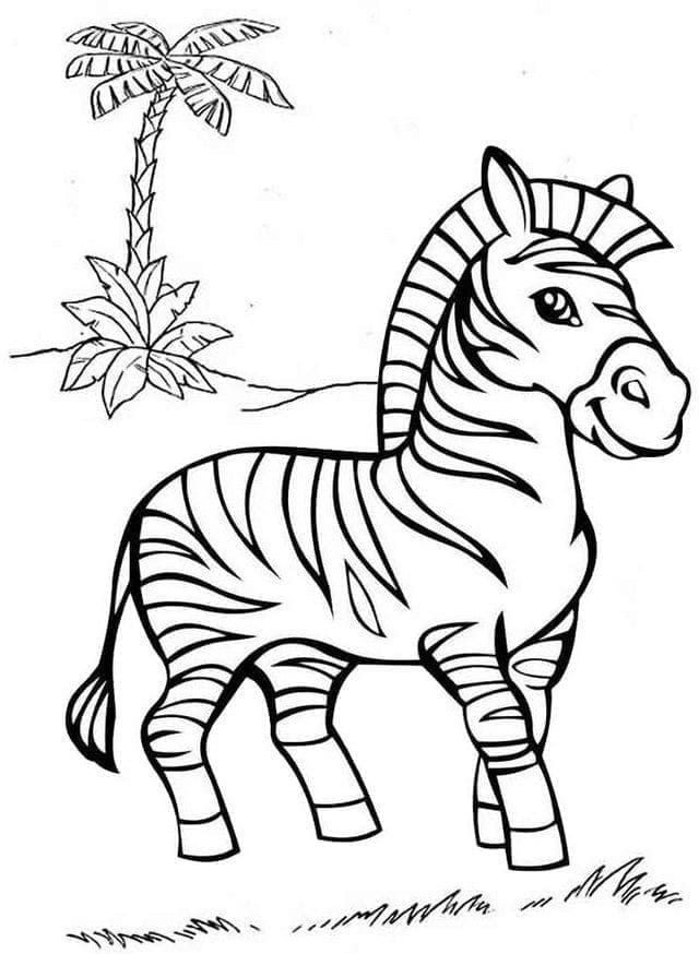 Zebra (7)